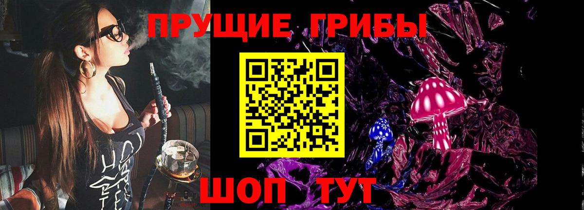 Галлюциногенные грибы Psilocybe Кирово-Чепецк