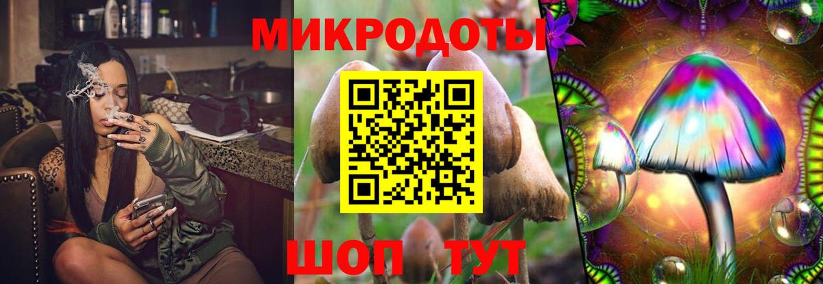 продажа наркотиков  Псилоцибиновые грибы Cubensis  Кирово-Чепецк  Вход с VPN  Псилоцибиновые грибы GOLDEN TEACHER 